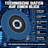 Fächerscheiben 125 mm Metall Stahl Edelstahl INOX Lamellenscheiben technische daten