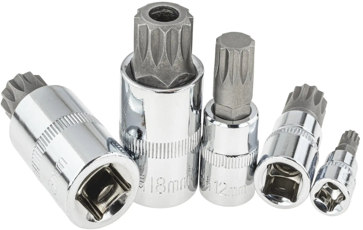 Steckschlüssel Innenvielzahn 1/4" 3/8" 1/2" Nüsse M4 - M18 Stecknuss Set